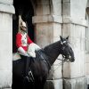 London-Horse Guard