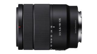 Sony SEL 18-135 Lens Review