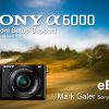 Free Sony A6000 Custom Settings eBook