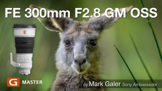 FE-300mm-GM-Lens-Review